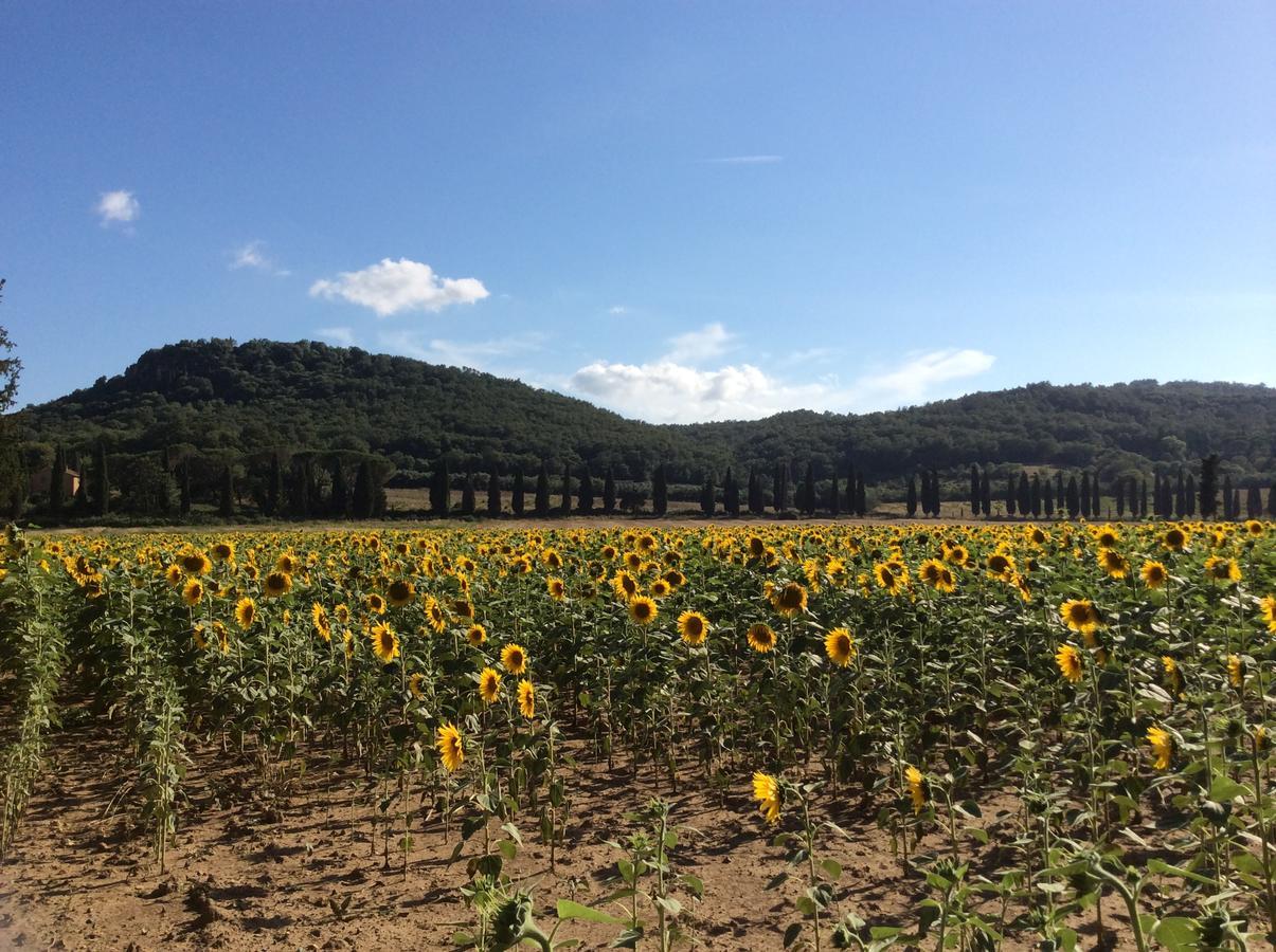 Bio Fattoria Di Pietra Casa di campagna Giuncarico